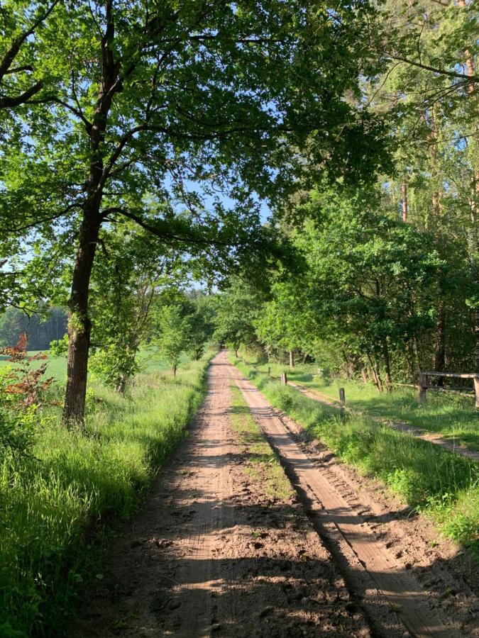 Loh Apartments - Wald.Natur.Ruhe. Undeloh Bagian luar foto