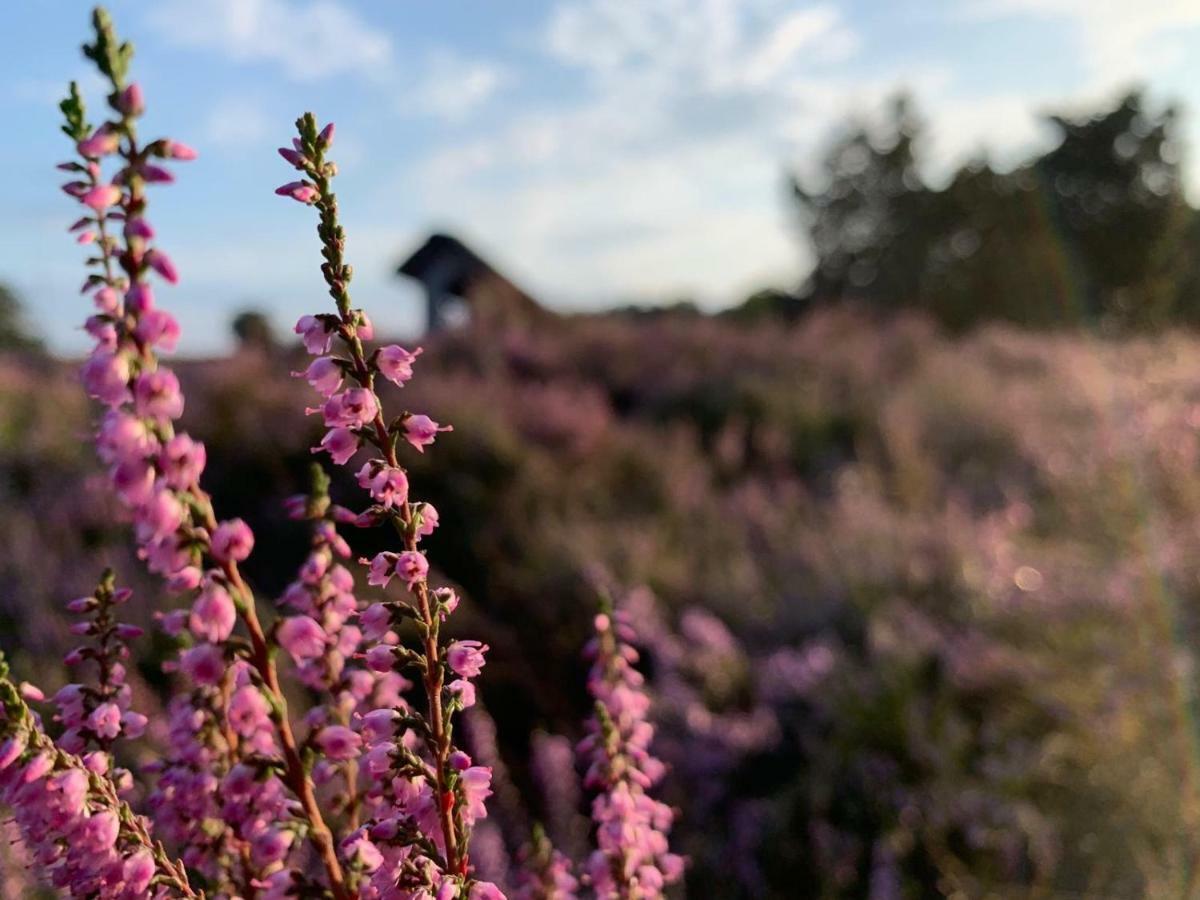Loh Apartments - Wald.Natur.Ruhe. Undeloh Bagian luar foto